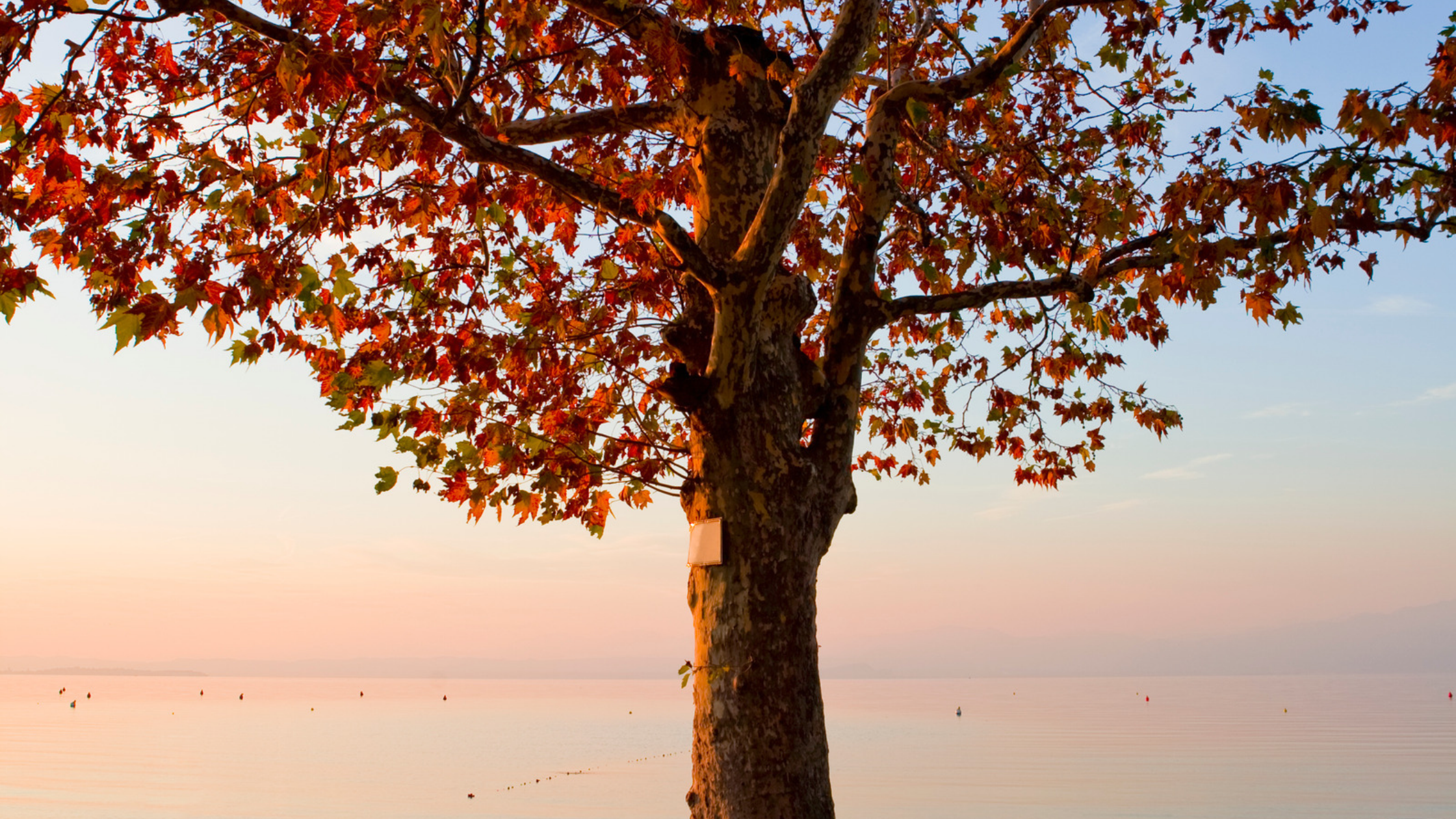 lago di garda autunno